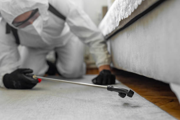 Professional Bed Bug Control technician working in West Fork, AR