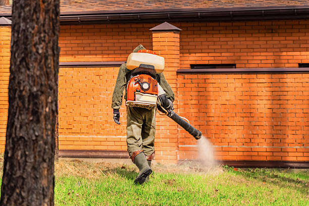 Trusted Rodent Control service in West Fork, AR - Nex Pest Control